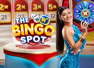 Vegas Ball Bonanza - IDAGENT138