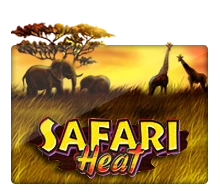 Joker123 : Safari Heat - IDAGENT138
