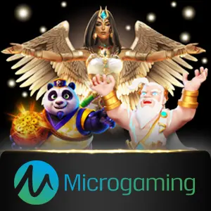 Microgaming - IDAGENT138