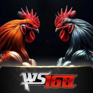 Ws168 Sabung - IDAGENT138