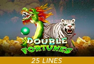 Double Fortunes - IDAGENT138
