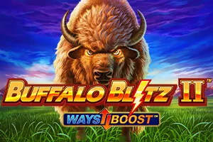 Buffalo Blitz II - IDAGENT138