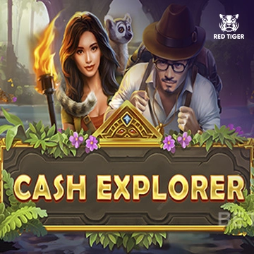 Redtiger : Cash Explorer - IDAGENT138
