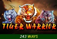 Tiger Warrior - IDAGENT138