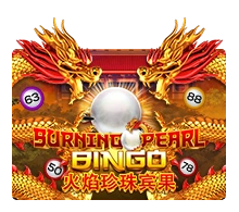 Burning Pearl Bingo - IDAGENT138