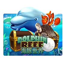 Joker123 : Dolphin Reef - IDAGENT138