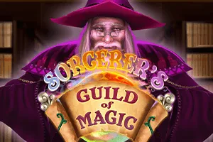 Sorcerers Guild of Magic - IDAGENT138
