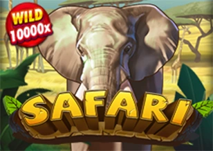 Safari - IDAGENT138